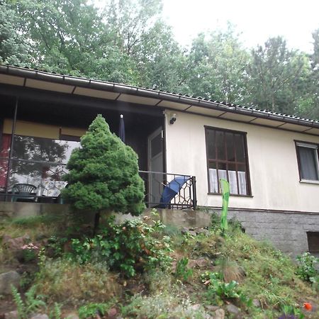 Bungalows Zur Alten Faehre Вердер Номер фото