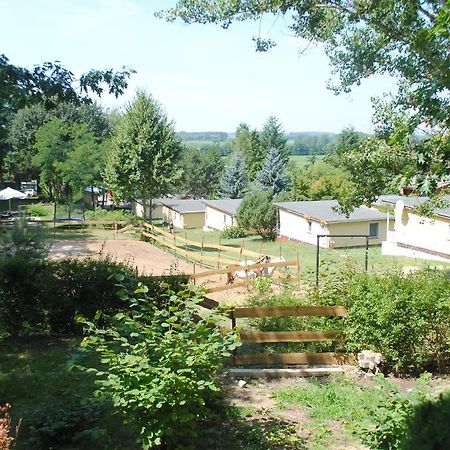 Bungalows Zur Alten Faehre Вердер Номер фото