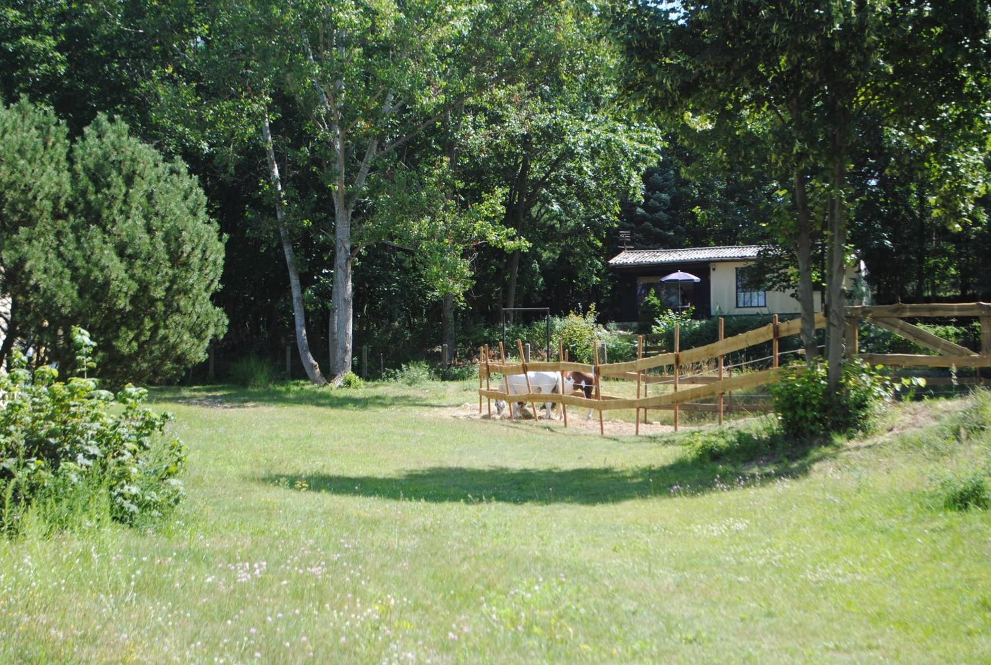 Bungalows Zur Alten Faehre Вердер Номер фото