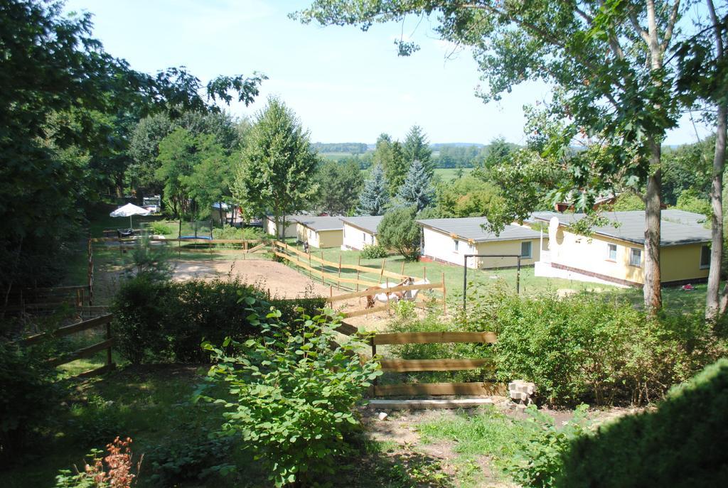 Bungalows Zur Alten Faehre Вердер Номер фото