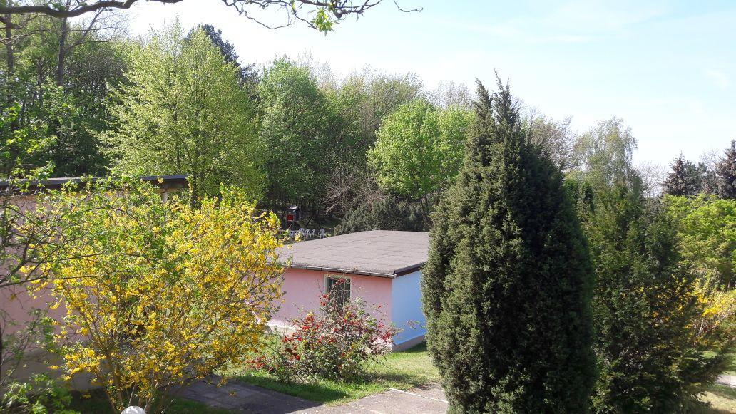 Bungalows Zur Alten Faehre Вердер Экстерьер фото