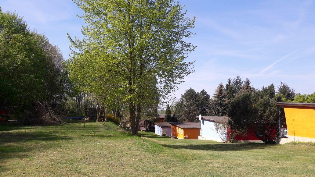 Bungalows Zur Alten Faehre Вердер Экстерьер фото